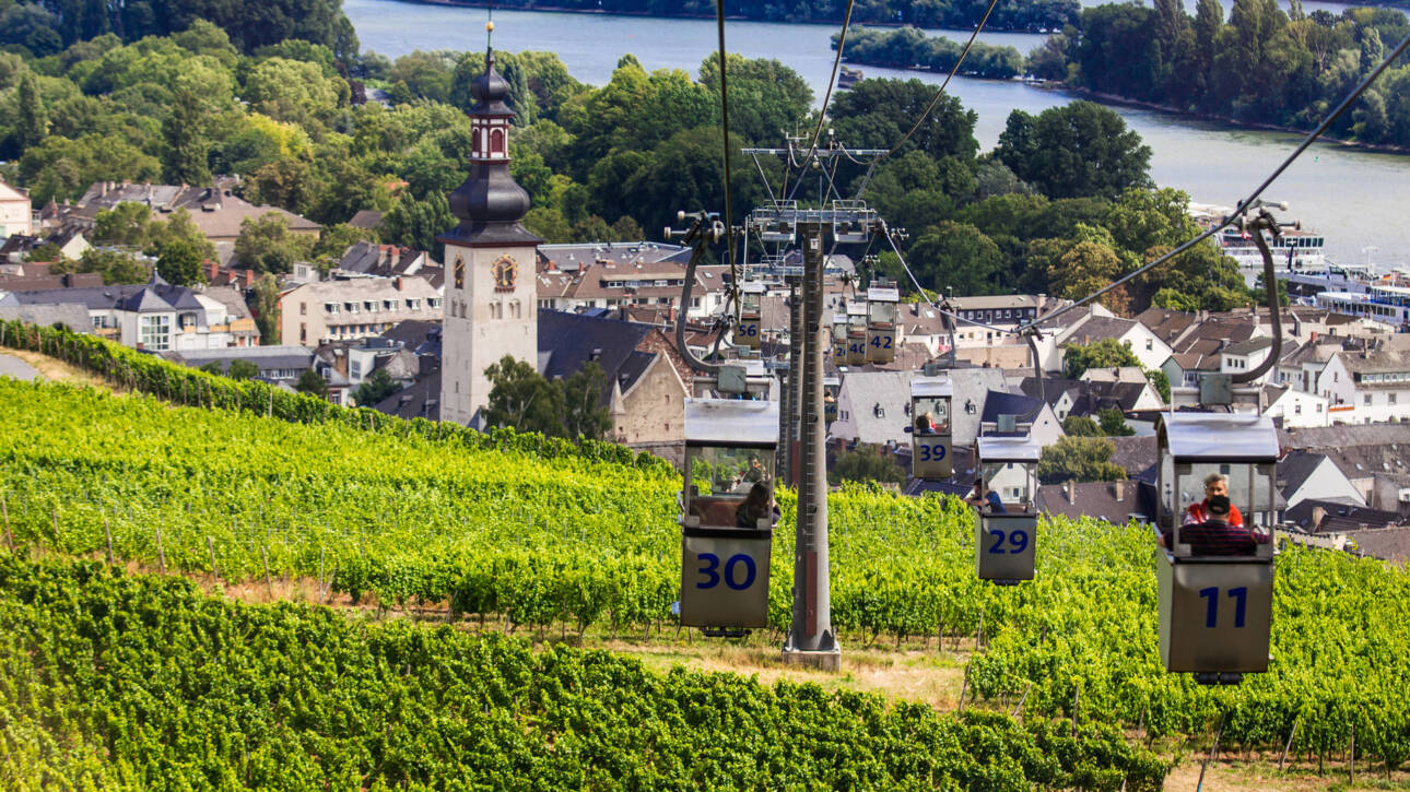 Beitrag seilbahn rüdesheim (c) rüdesheim tourist ag moritz kertzscher lpr