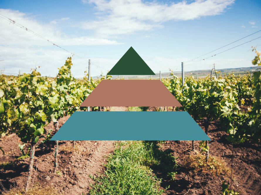 Philosophi beitrag weinpyramide 02
