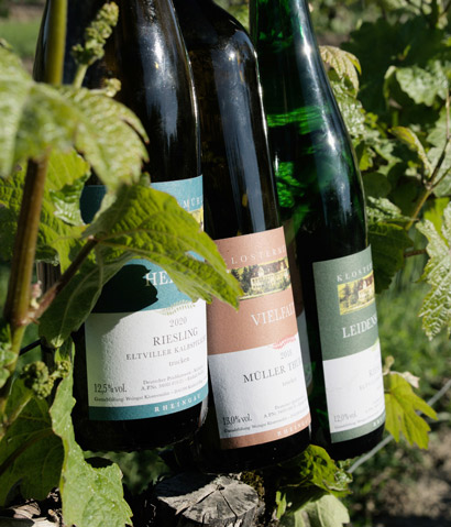 Weinwissen mood 01